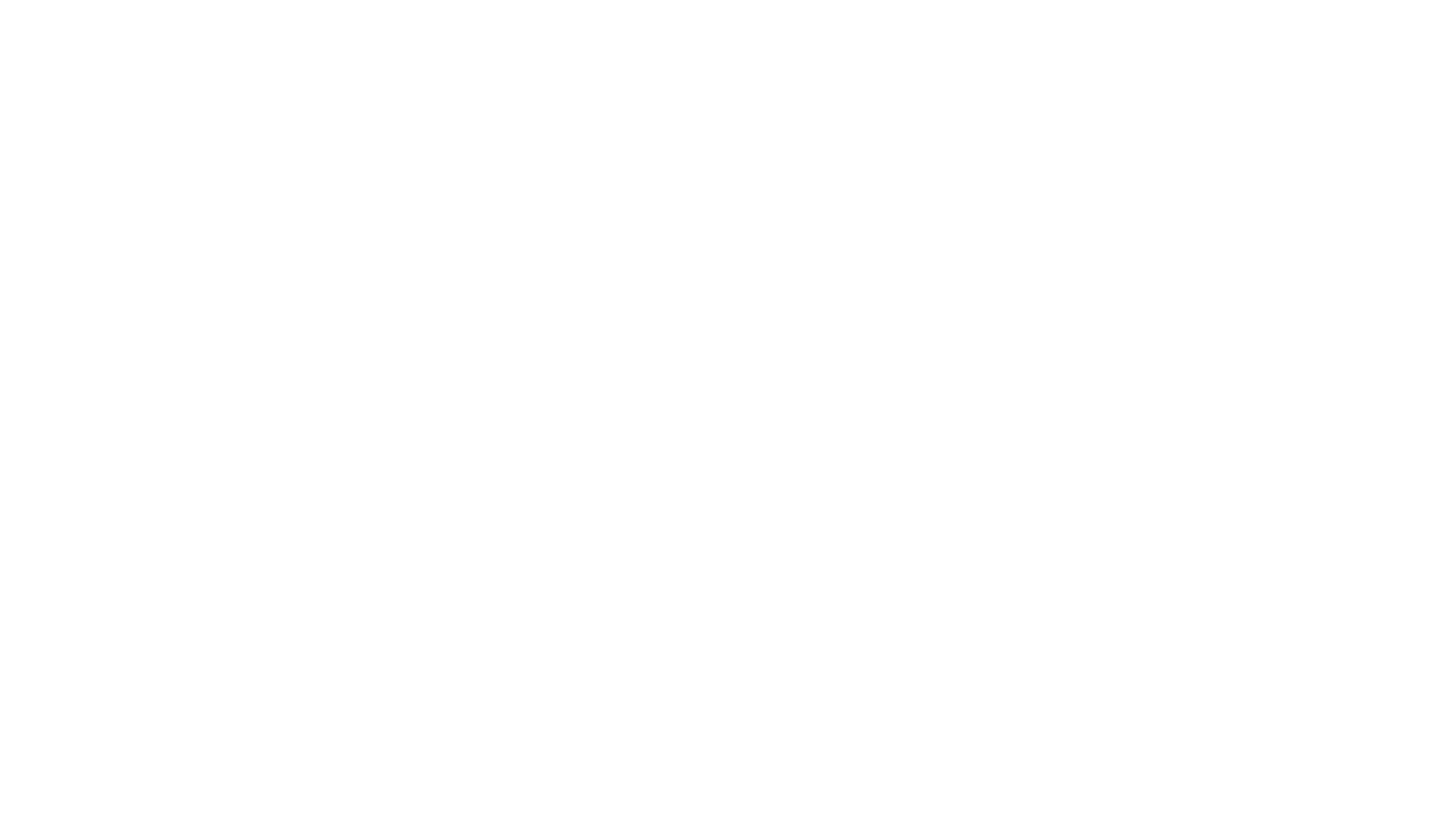 三期内必开一期资料