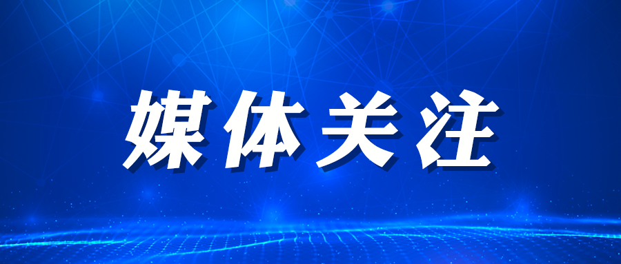 三期内必开一期资料